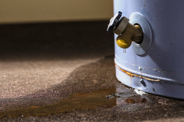  Carrollton, VA Water damage restoration Pros