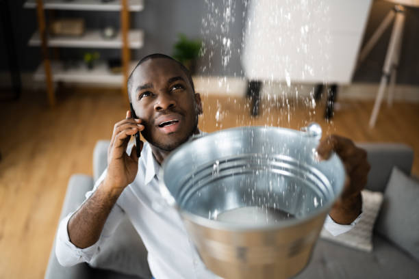 Best Flood damage cleanup  in Carrollton, VA