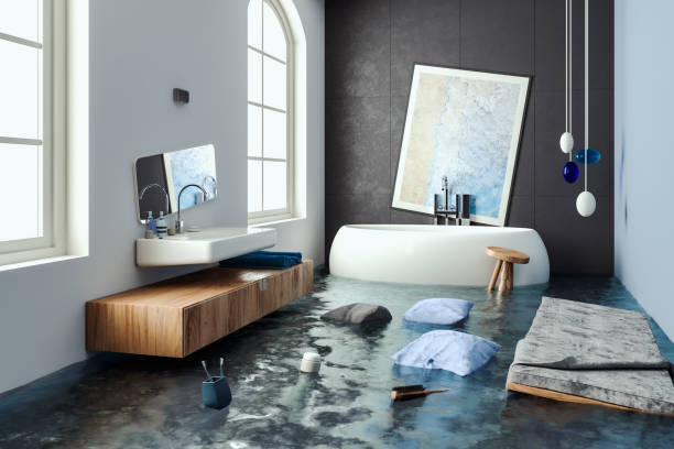 Best Professional water damage repair  in Carrollton, VA