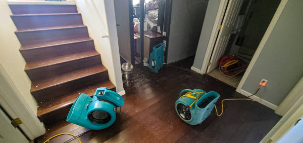 Best Basement water damage restoration  in Carrollton, VA