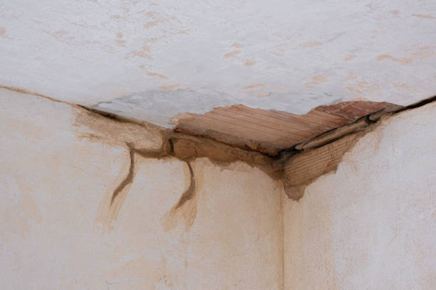 Best Water damage restoration near me  in Carrollton, VA