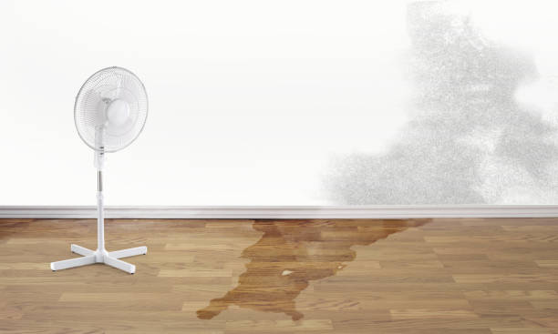 Best Residential water damage restoration  in Carrollton, VA