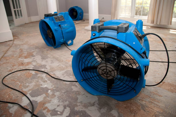 Best Carpet water damage restoration  in Carrollton, VA