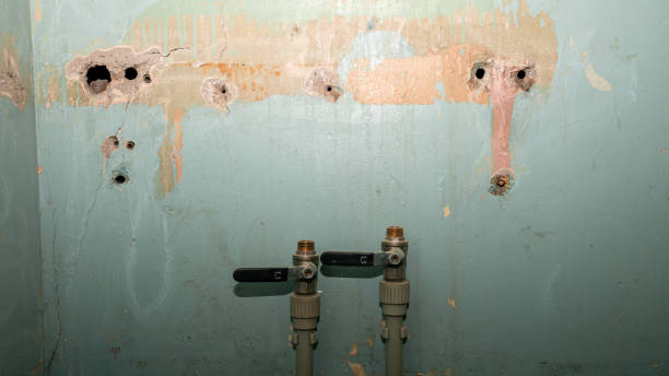 Best Water damage contractors near me  in Carrollton, VA