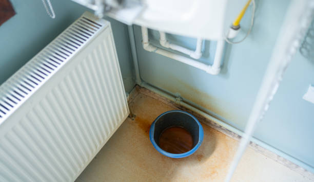 Best Local water damage restoration  in Carrollton, VA