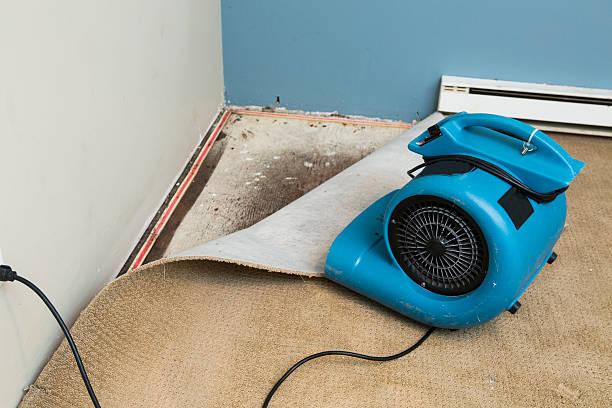 Best Emergency water damage restoration  in Carrollton, VA
